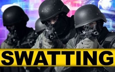 “Swatting” More Than Annoying Flies