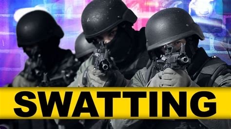 “Swatting” More Than Annoying Flies