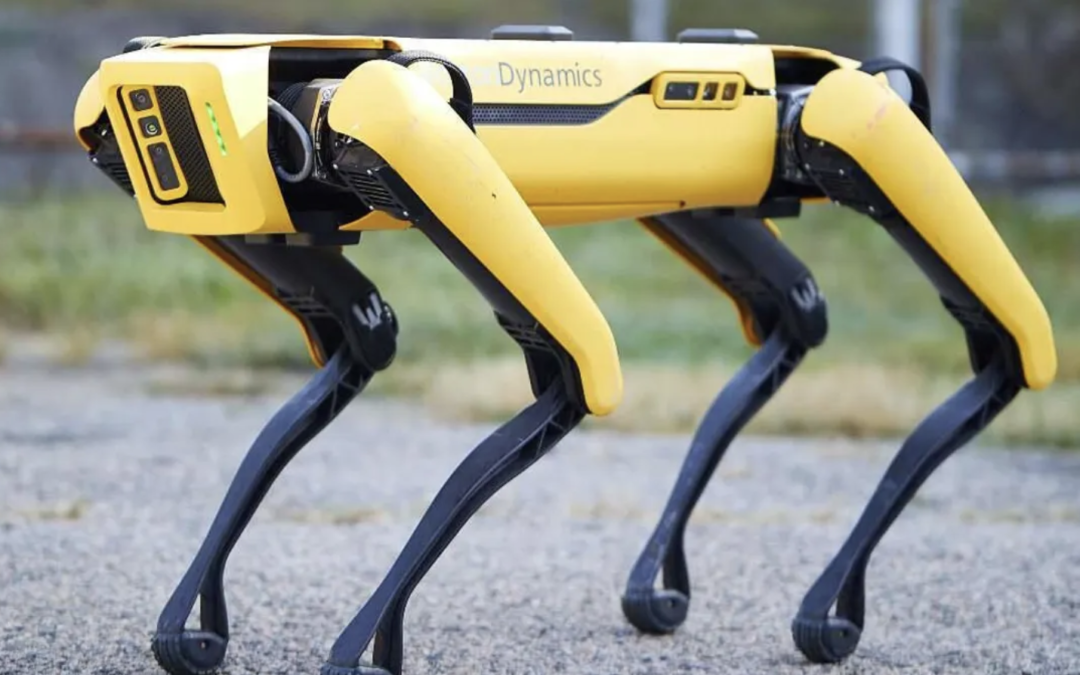 The $75,000 Lulav controversy