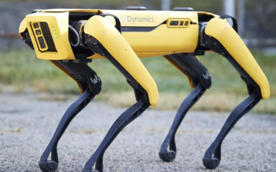 The $75,000 Lulav controversy